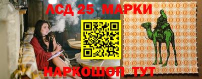 ПСИЛОЦИБИНОВЫЕ ГРИБЫ Краснознаменск