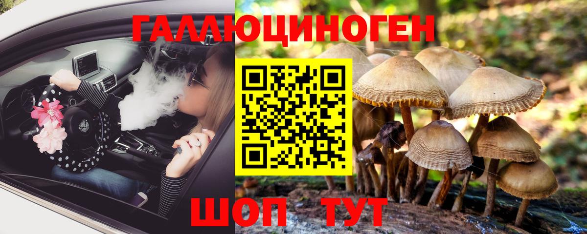 Галлюциногенные грибы прущие грибы Кирово-Чепецк